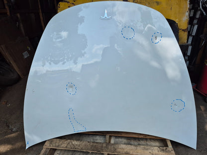 2019 Tesla Model 3 Hood Bonnet Panel OEM