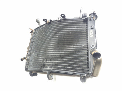 2003 - 2005 Yamaha Yzf R6 Cooling Radiator OEM