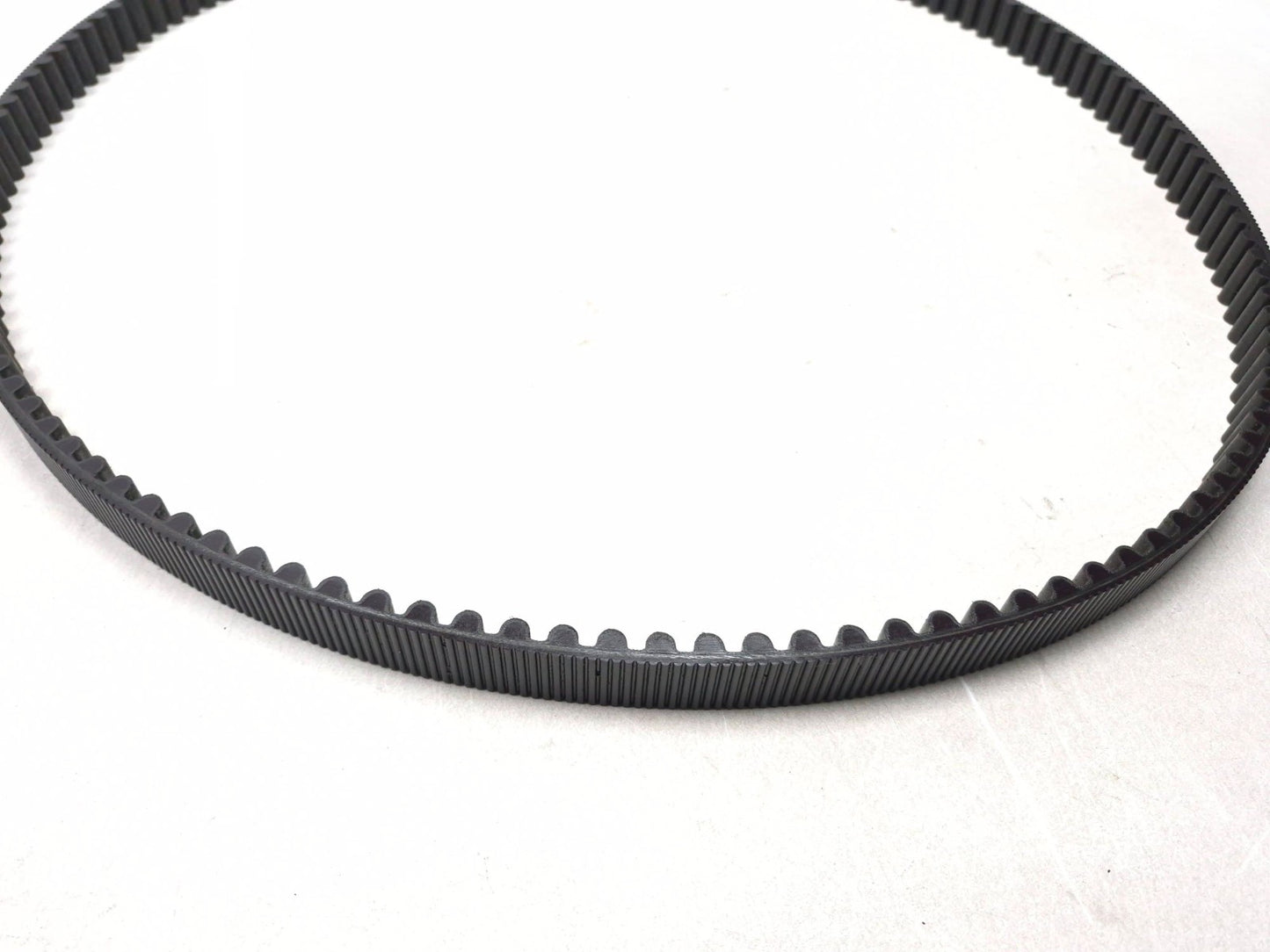 2009 Harley-davidson Sportster Xl883l Drive Belt OEM