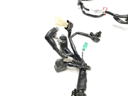 19 - 23 Honda Cbf300 Na Main Engine Wire Harness OEM
