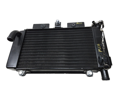2023 Cf Moto Lifan 300ss Cooling Radiator OEM