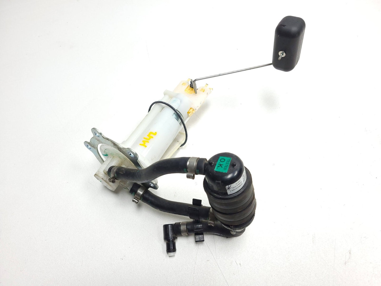 2021 - 2024 BMW G310 Gs Fuel Pump Sending Unit 8545351 OEM
