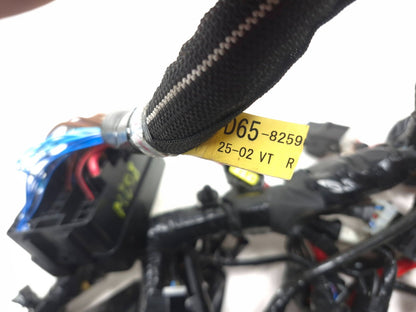 2025 Yamaha Xsr900 Main Wire Harness OEM