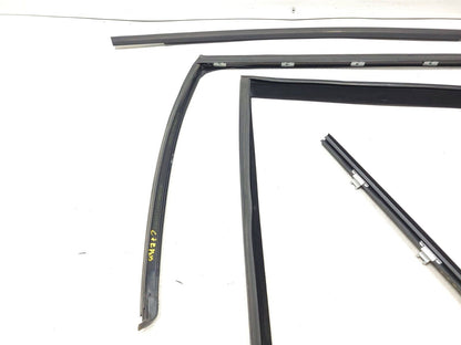 07-13 BMW E70 X5 Door Window Chanel Trim & Seal Rear Passenger Side Rh 4pcs OEM