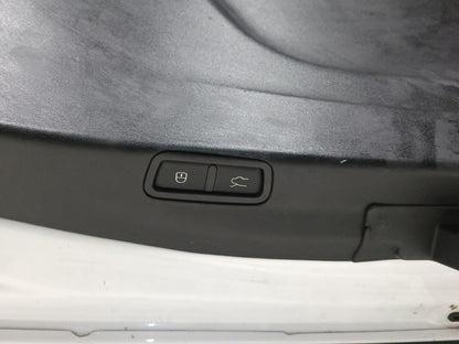 2018 Alfa Romeo Stelvio Tailgate Liftgate Trunk Back Door Shell OEM ✅