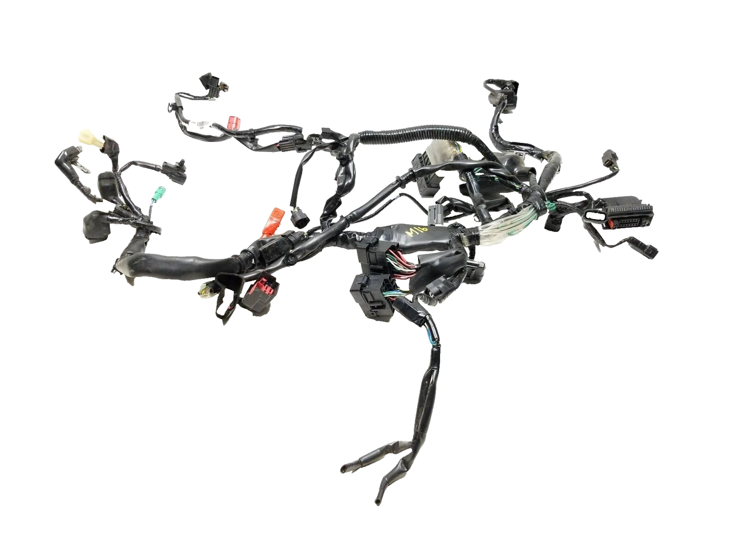 2023 Honda Cbf300 Na Main Engine Wire Harness OEM