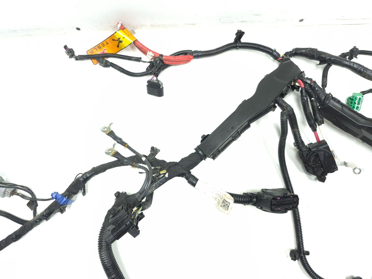2018 Tesla Model 3 Front Body Under Hood Wire Harness 1067964-01-f OEM