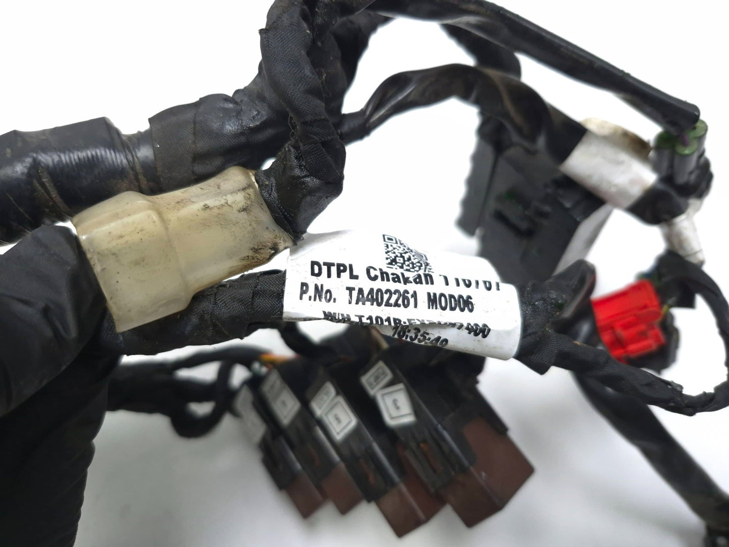 2024 Triumph Speed 400 Main Wire Harness OEM