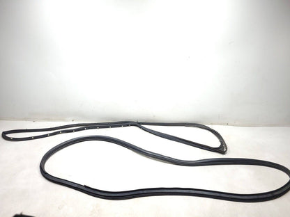 07-09 Mitsubishi Outlander Door Weatherstrip Seal Rear Driver Side Left 2pcs OEM