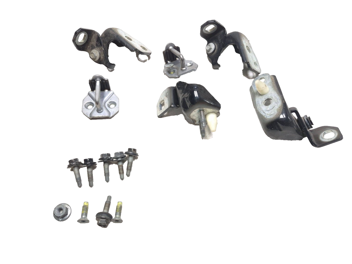 2019 Ford Ecosport Door Hinge Passenger Side Right Front & Rear OEM