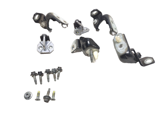 2019 Ford Ecosport Door Hinge Passenger Side Right Front & Rear OEM