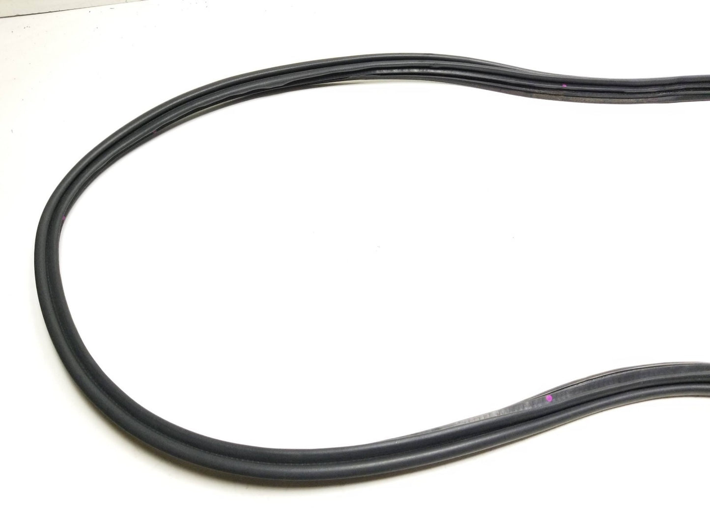 11-17 Lexus CT200h Trunk Weatherstrip Seal Oem✅
