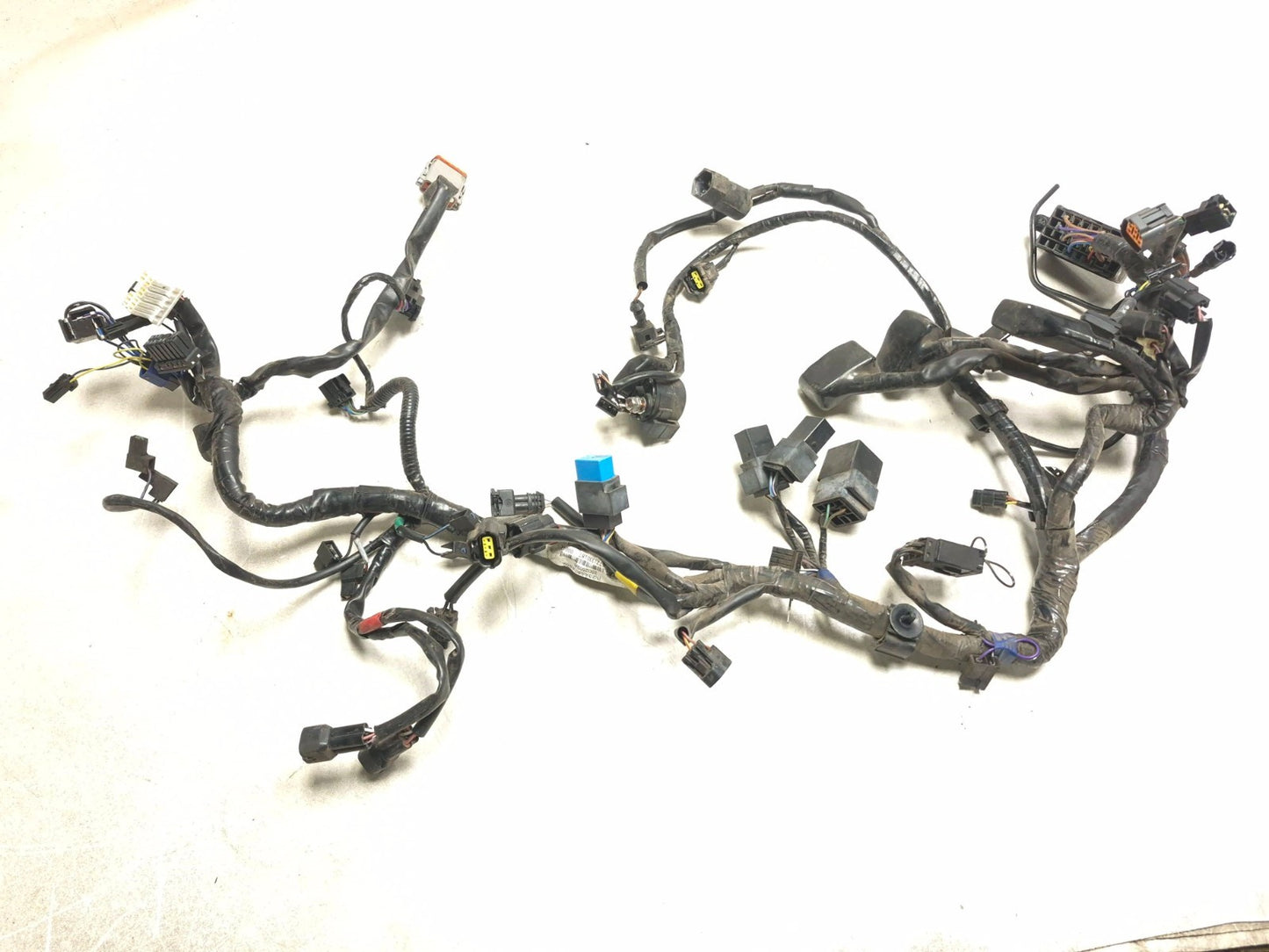 2014 Triumph America Main Wire Harness OEM