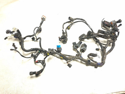 2014 Triumph America Main Wire Harness OEM