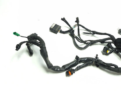 2024 Triumph Speed 400 Main Wire Harness OEM