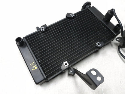 2023 Csc Rx3 Rx4 Adventure Radiator & Radiator Fan Assy OEM