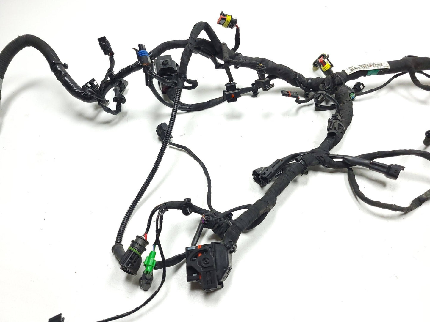 2019 BMW G310r Main Engine Wire Harness Electrical Loom OEM