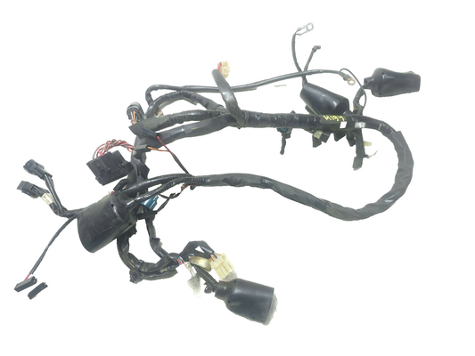 2009 Yamaha Fz6r Main Wire Harness OEM
