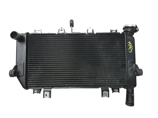 2019 Kawasaki Z400 Er400d Radiator OEM