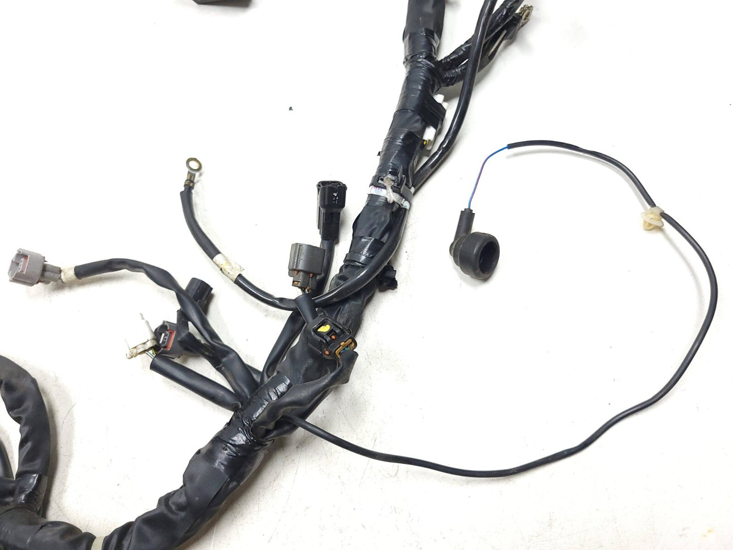 2023 Kawasaki Kle300 Versys-x 300 Main Wire Harness OEM