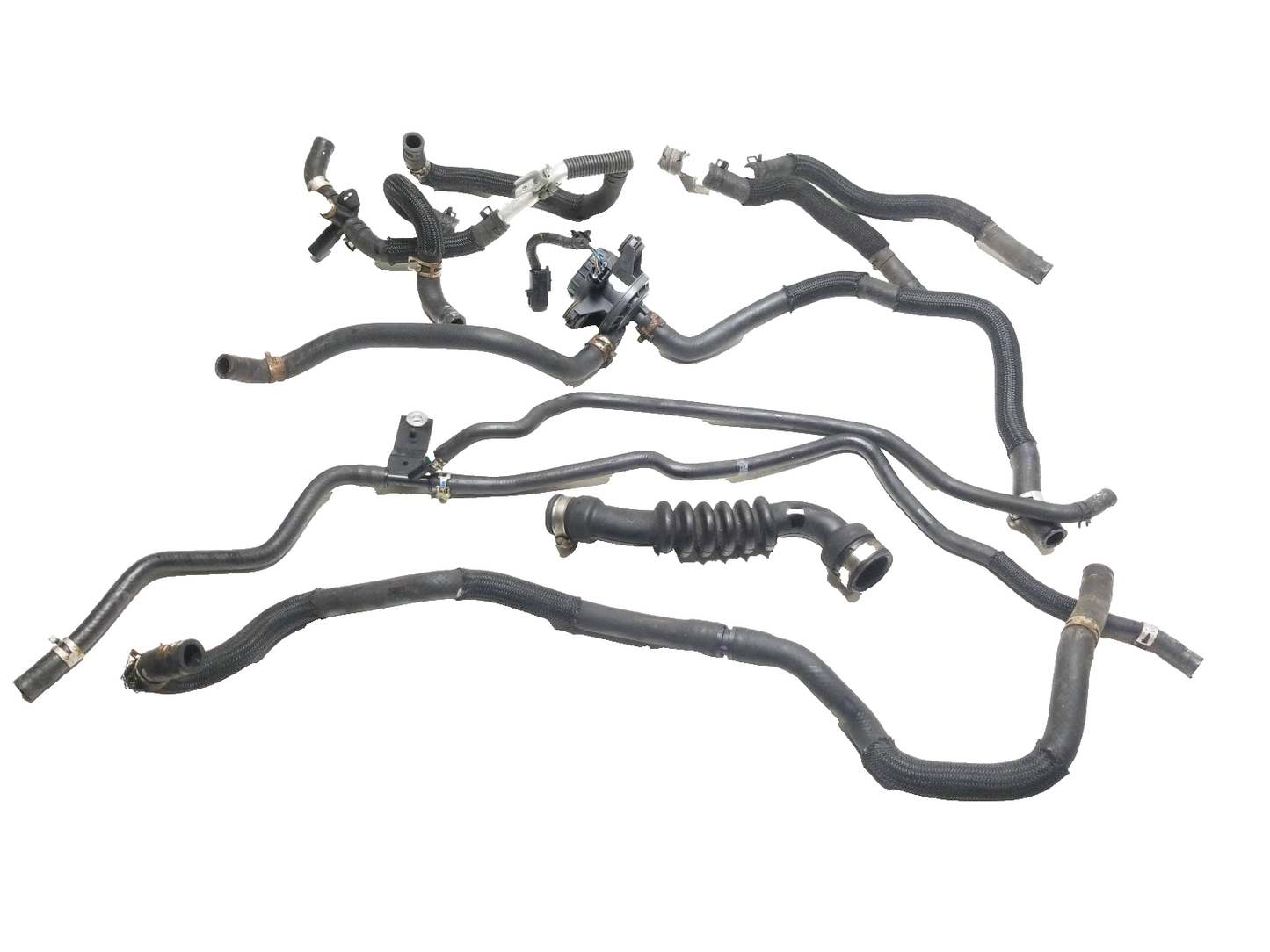 11-17 Lexus CT200h Coolant Hose Pipe Oem✅