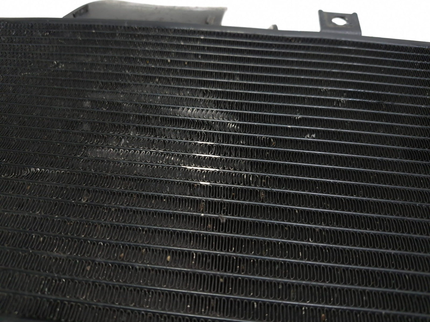 2009 Suzuki Sv650s Radiator 17710-17g40 OEM