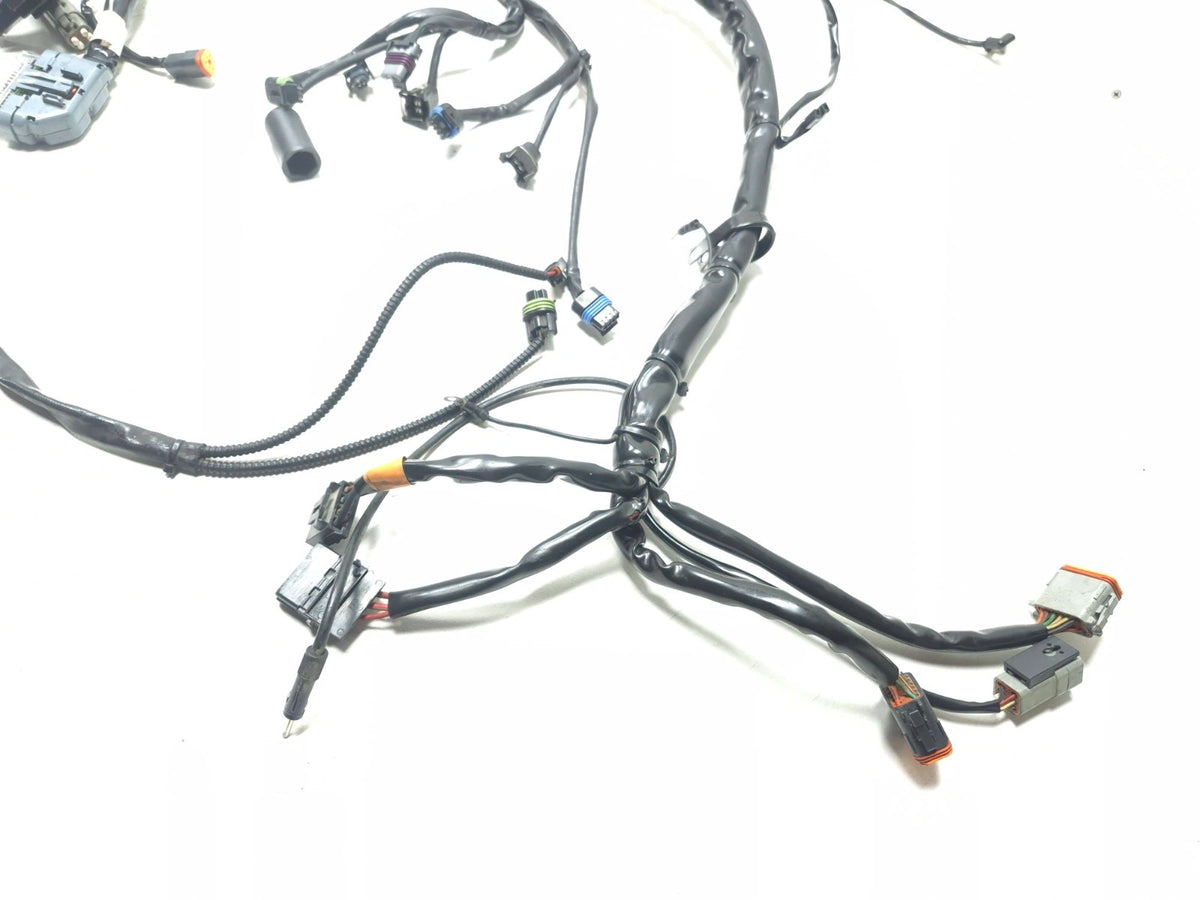 2004 Harley Touring Electra Glide Main Wire Harness W/ Engine Harness OEM