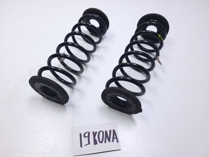 2019 Hyundai Kona Rear Coil Spring 2pcs OEM