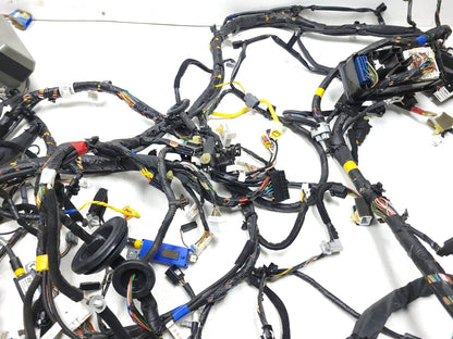 2009 Hyundai Genesis Interior Wire Harness 4.6l OEM