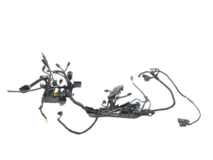 2019 Harley Davidson Xl 883 Iron Main Wiring Harness OEM