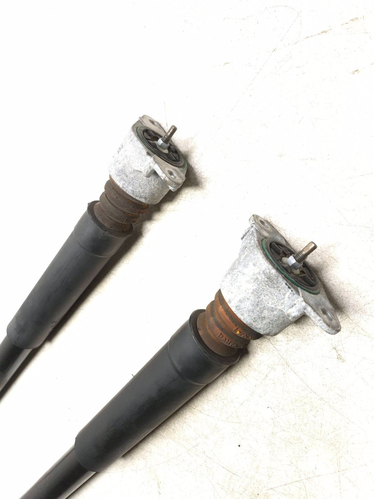 2019 Ford Ecosport Rear Shock Strut Absorber Pair OEM