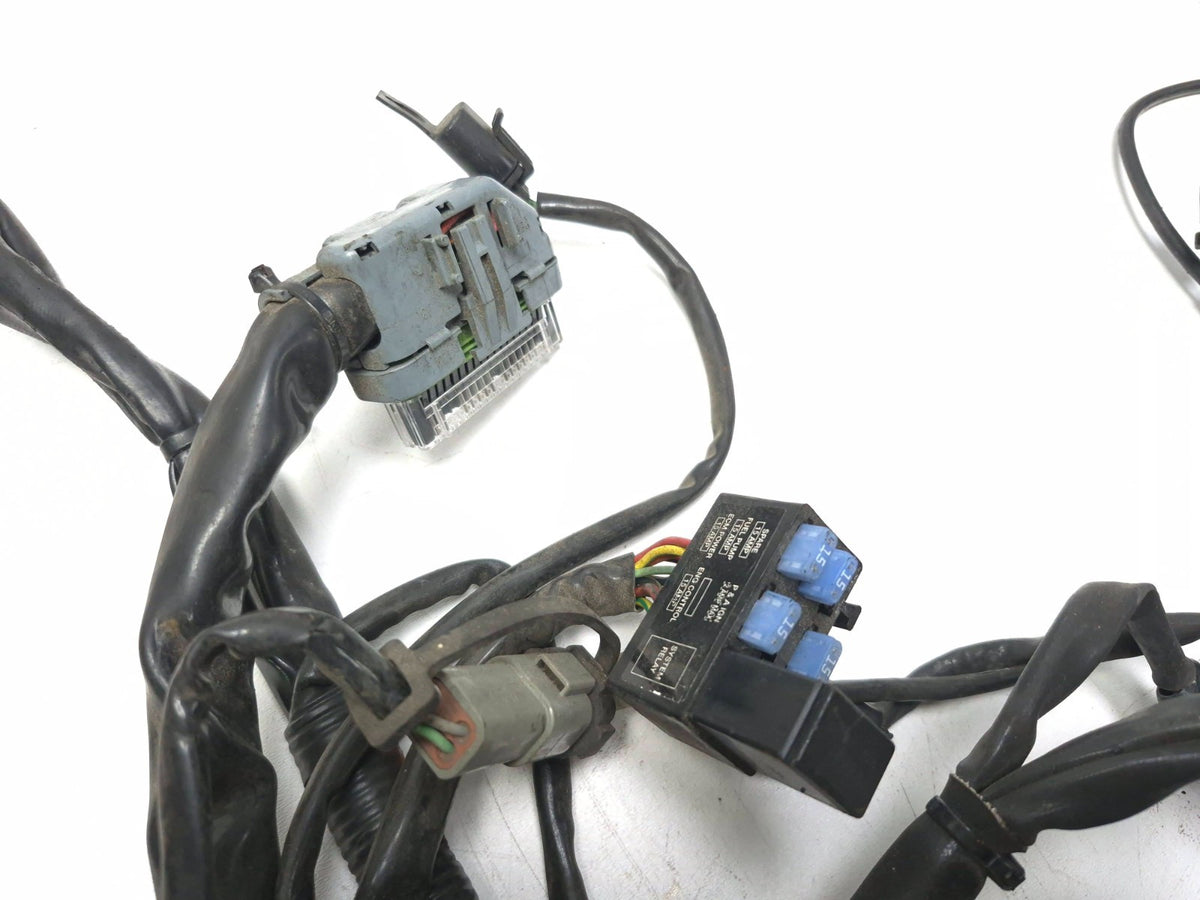 2007 Harley-davidson Touring Street Glide Main Wire Harness OEM