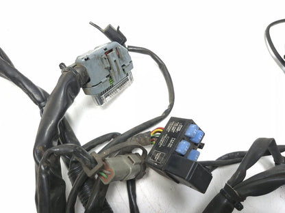 2007 Harley-davidson Touring Street Glide Main Wire Harness OEM