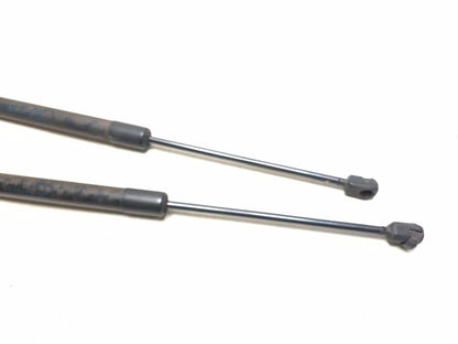 2011 Volkswagen Tiguan Trunk Lid Tailgate Strut Lift Cylinder 2pcs OEM