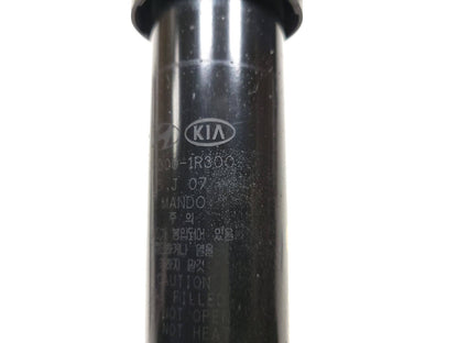 12-17 Hyundai Accent Shock Absorber Rear Passenger Right & Rear Driver Side Left