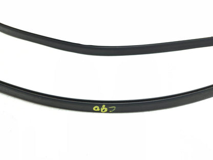 2007 Honda Fit Roof Drip Molding Trim Left & Right  OEM