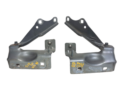 2007 Cadillac Сts Left & Right Front Hood Hinge Pair OEM