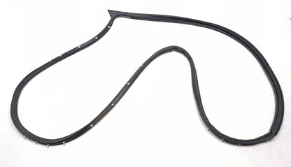 2019 Ford Ecosport Door Weatherstrip Front Driver Side Left OEM