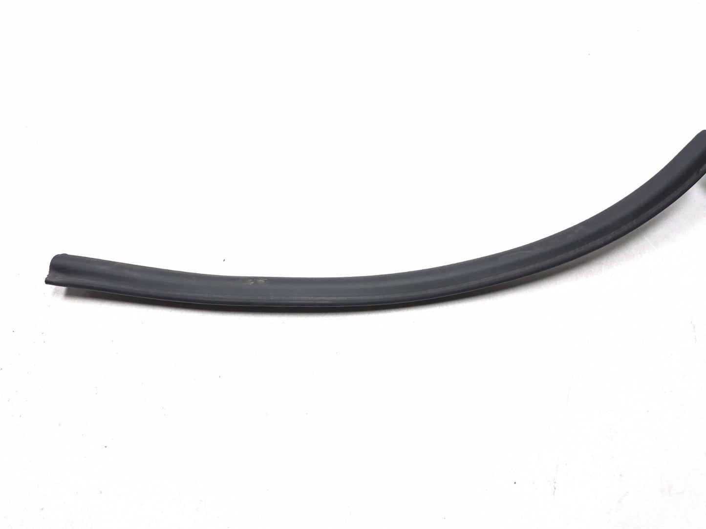 2019 Ford Ecosport Door Weatherstrip Rear Driver Side Left OEM