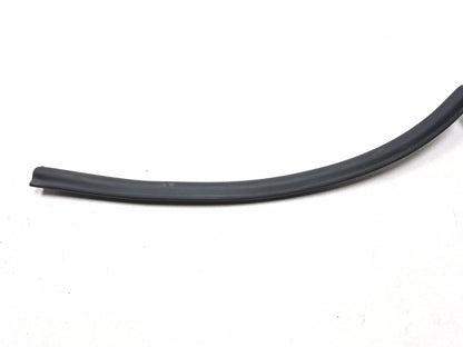 2019 Ford Ecosport Door Weatherstrip Rear Driver Side Left OEM