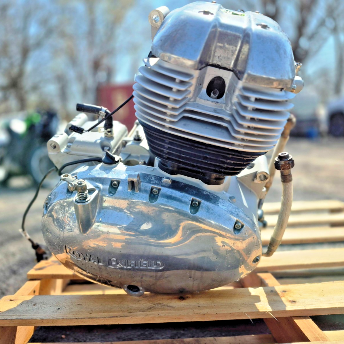 2022 Royal Enfield Int650 Engine Motor OEM