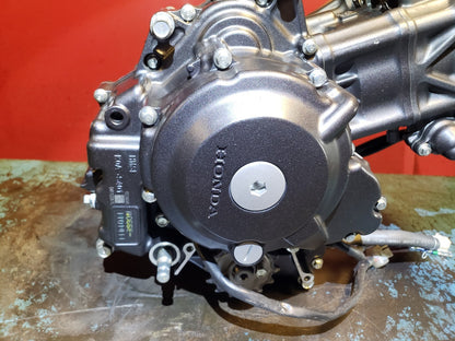 2024 Honda Cbf300 Cb300 Engine OEM 264 Miles!