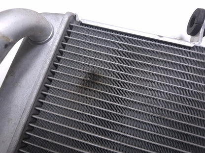 2016 Yamaha Yzf R3 Radiator OEM