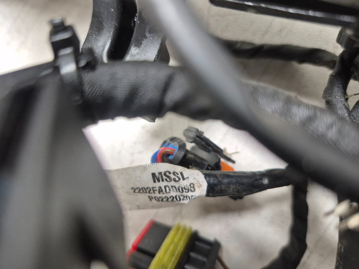 2022 Moto Guzzi V7 Main Wire Harness OEM