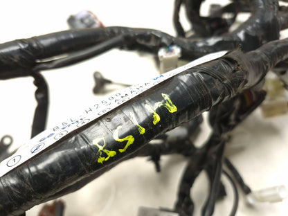 2024 Yamaha R3 Yzfr3 Main Wire Harness OEM