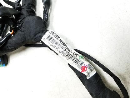 2023 BMW G310r Main Wire Wiring Harness  OEM