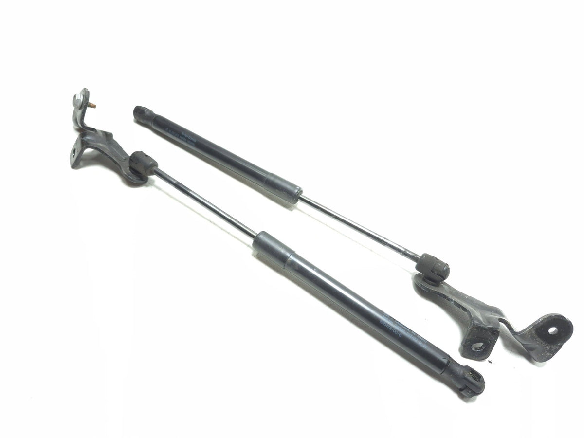 2022 Tesla Model 3 Front Bonnet Hood Strut Left & Right OEM