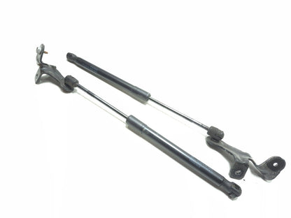 2022 Tesla Model 3 Front Bonnet Hood Strut Left & Right OEM