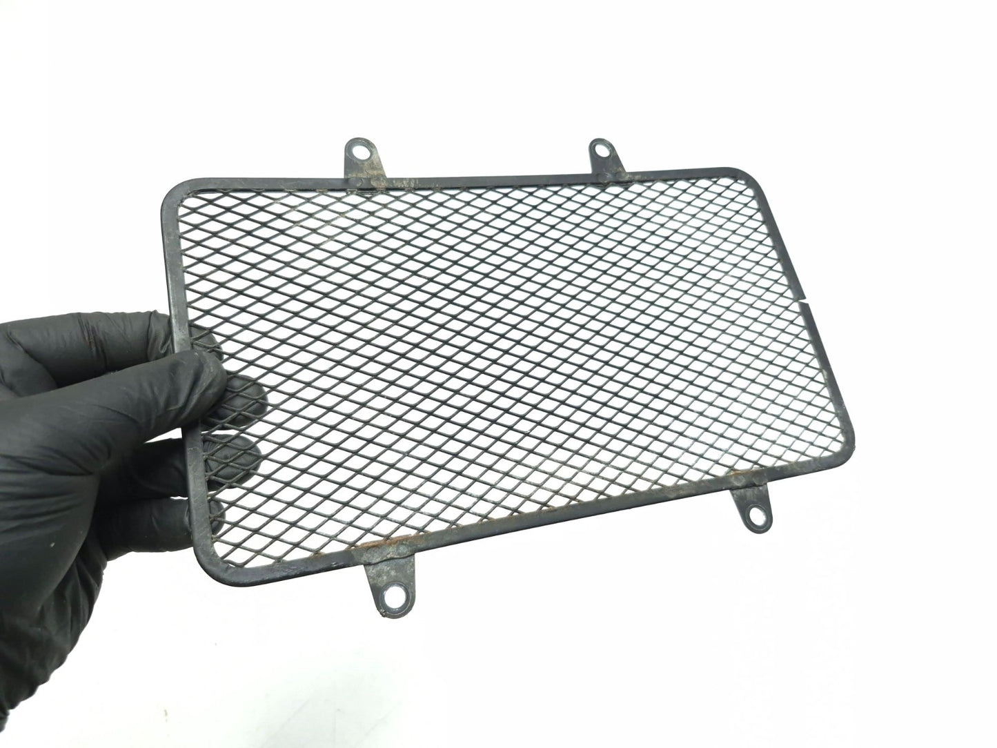 2017-2026 Kawasaki Versys-x 300 Kle300 OEM Radiator Screen Guard 14037-0781