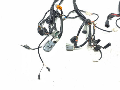 2002 Harley Davidson Touring Road King Main Wire Harness OEM